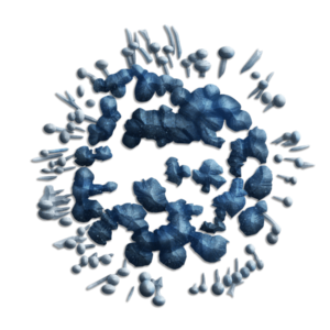 Mycotoxins Test By Vibrant Wellness