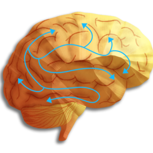 Neurotransmitters Panel By Vibrant Wellness USA
