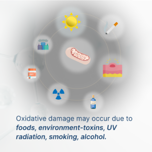 Oxidative Stress Profile By Vibrant Wellness USA